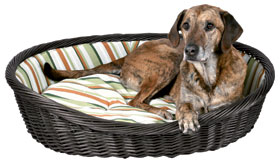 Oval Wicker Basket